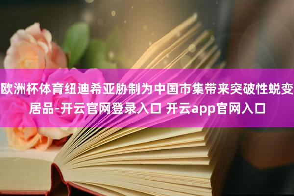 欧洲杯体育纽迪希亚胁制为中国市集带来突破性蜕变居品-开云官网登录入口 开云app官网入口