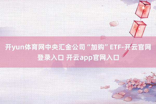 开yun体育网中央汇金公司“加购”ETF-开云官网登录入口 开云app官网入口
