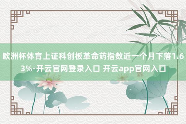 欧洲杯体育上证科创板革命药指数近一个月下落1.63%-开云官网登录入口 开云app官网入口