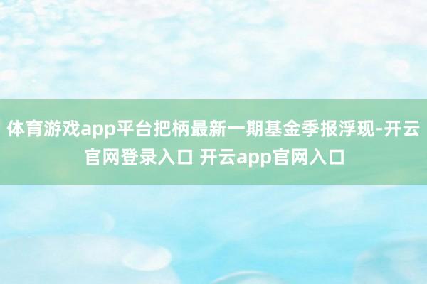 体育游戏app平台把柄最新一期基金季报浮现-开云官网登录入口 开云app官网入口