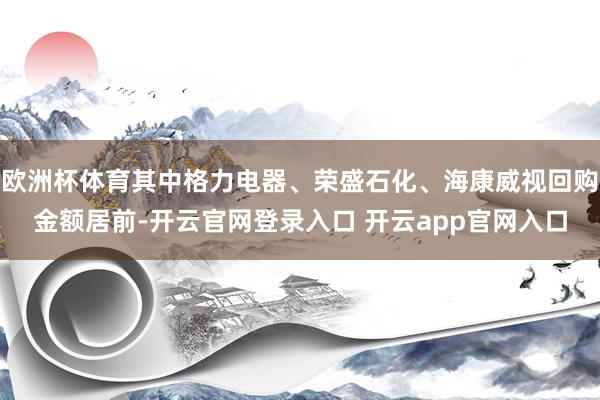 欧洲杯体育其中格力电器、荣盛石化、海康威视回购金额居前-开云官网登录入口 开云app官网入口