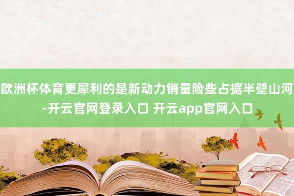 欧洲杯体育更犀利的是新动力销量险些占据半壁山河-开云官网登录入口 开云app官网入口