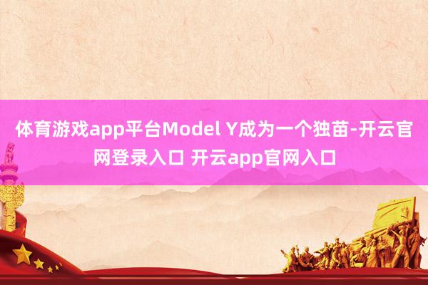 体育游戏app平台Model Y成为一个独苗-开云官网登录入口 开云app官网入口