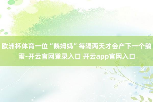 欧洲杯体育一位“鹅姆妈”每隔两天才会产下一个鹅蛋-开云官网登录入口 开云app官网入口