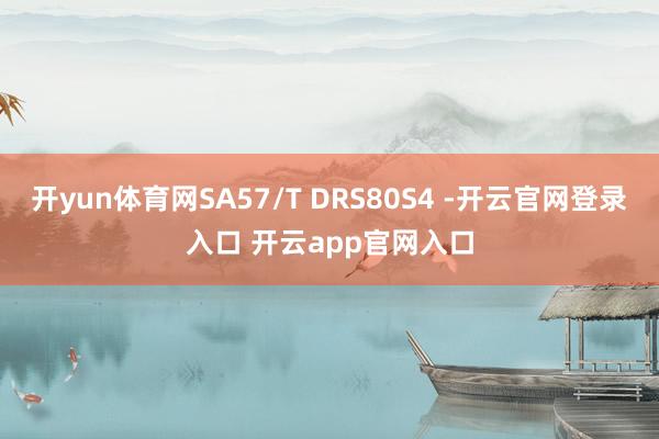 开yun体育网SA57/T DRS80S4 -开云官网登录入口 开云app官网入口