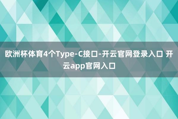 欧洲杯体育4个Type-C接口-开云官网登录入口 开云app官网入口