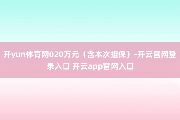 开yun体育网020万元（含本次担保）-开云官网登录入口 开云app官网入口